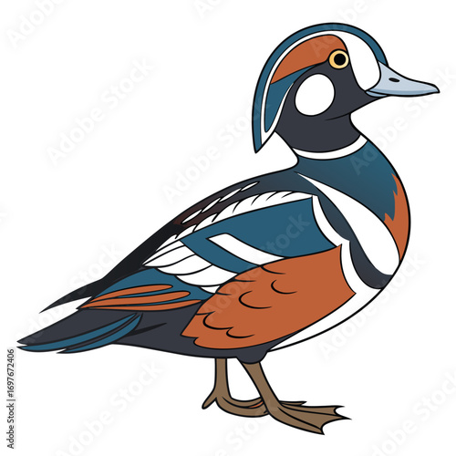 Harlequin duck illustration, a colorful bird design
