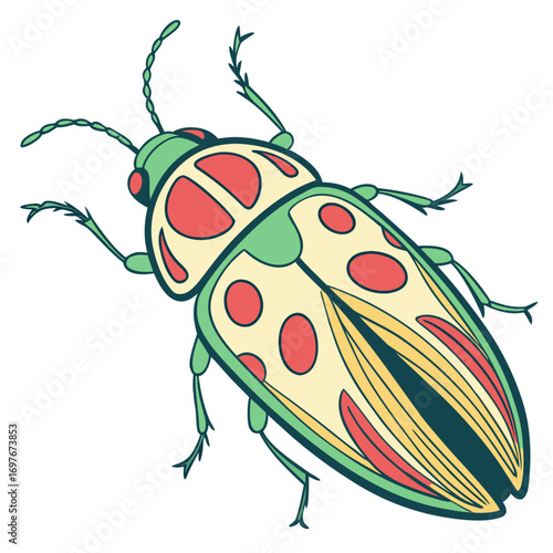 Hand drawn illustration of a jewel beetle