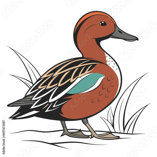 Cartoon illustration of a teal duck