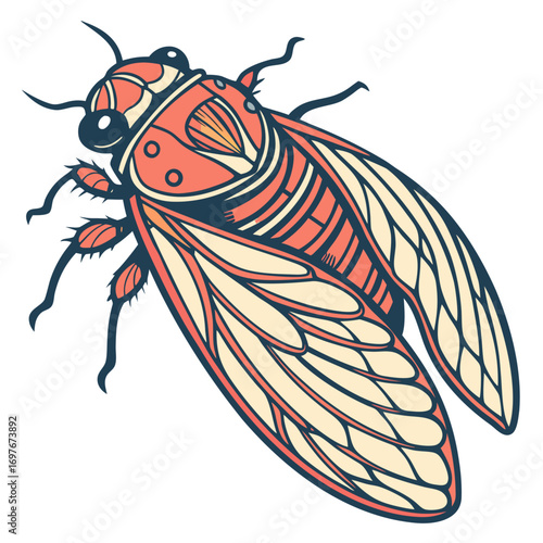 Cicada insect illustration