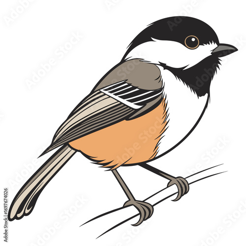 Illustration of a blackcapped chickadee perched on a branch