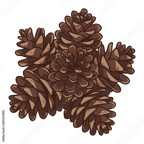 Cluster of brown pine cones – stock vector flat illustration