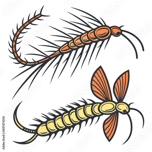 Two mayfly insect vector illustration