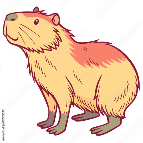 Cute capybara cartoon illustration