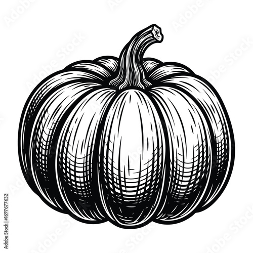 Vintage pumpkin illustration in a black and white handdrawn engraving or woodcut style.
