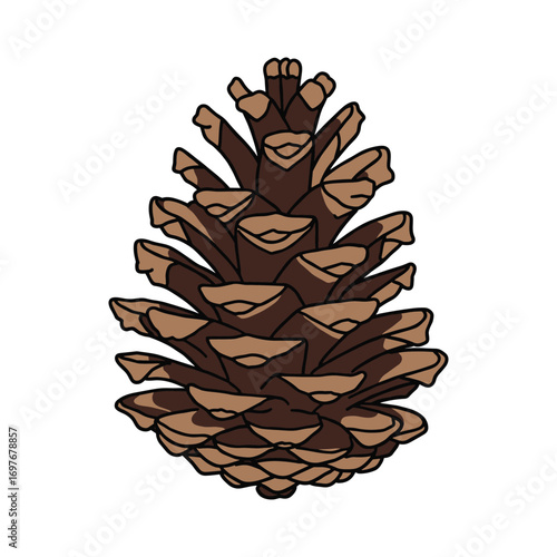 Detailed pine cone illustration with brown scales – stock vector flat illustration