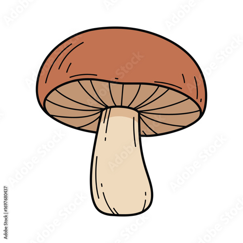 Hand-drawn brown mushroom with detailed lines – stock vector flat illustration