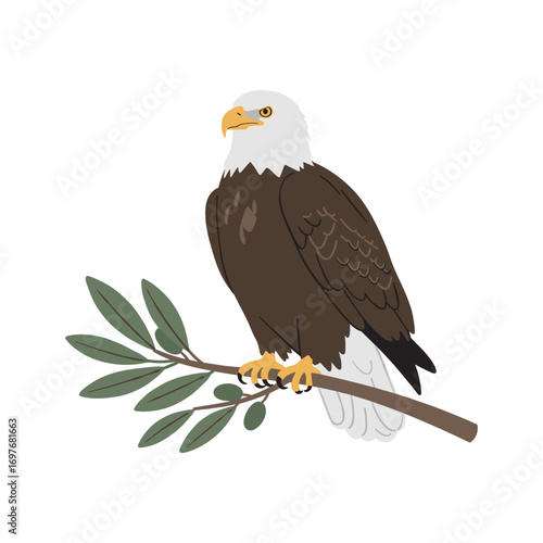 Bald eagle illustration: majestic bird of prey on branch with leaves – stock vector flat illustration