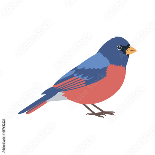 Vibrant blue and red bird illustration with white belly and black eyes – stock vector flat illustration