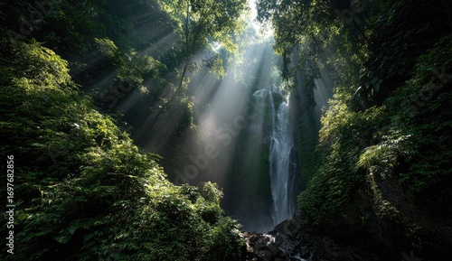 Sunlight streams through lush forest canopy onto a waterfall