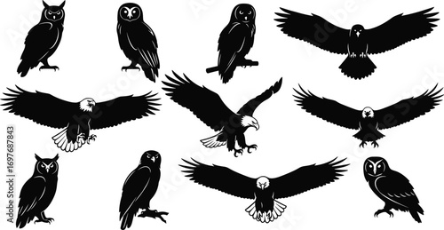 Black and white vector illustration of eagles and owls in various flying and perched poses for wildlife and nature design.