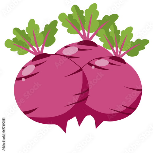 Two vibrant pink beetroots with green leaves, a close-up image.
