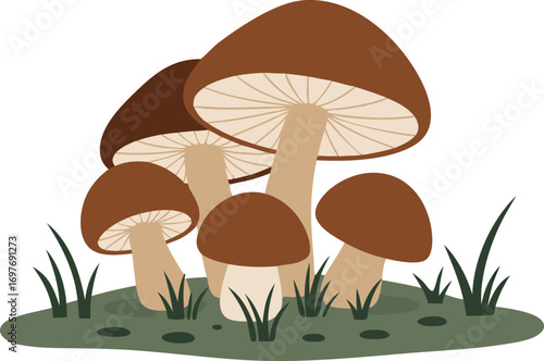 Cluster of Brown Mushrooms with Gills and Green Grass on Forest Floor for Nature, Botanical, and Organic Design Projects