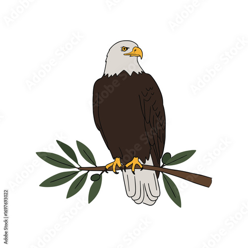 Bald eagle on branch with green leaves design – stock vector flat illustration