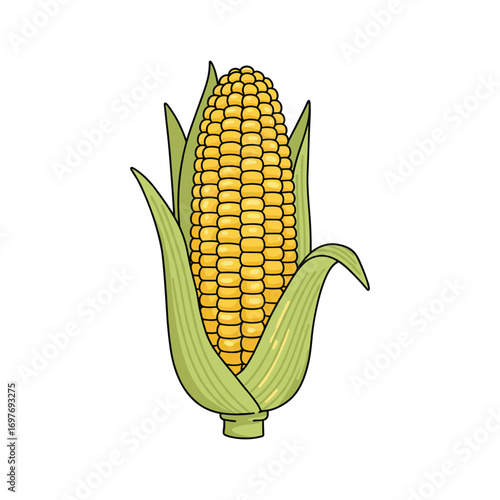Fresh yellow corn with green husks – stock vector flat illustration