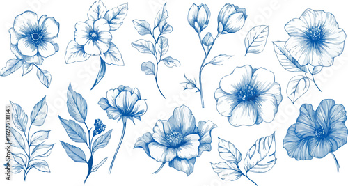 Collection of delicate blue watercolor botanical illustrations of various flowers and leaves