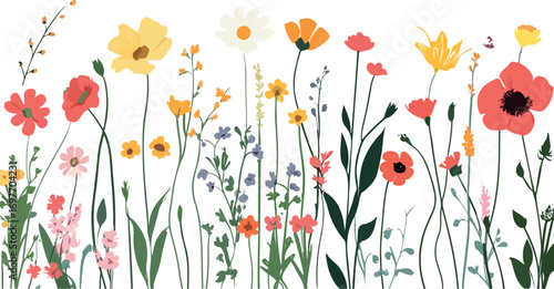 Vibrant watercolor wildflowers in a meadow with delicate stems and leaves against a white background