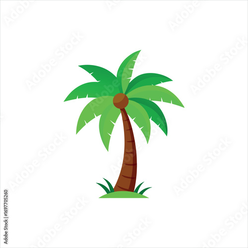 Coconut Palm Tree Silhouette with Green Leaves and Single Coconut