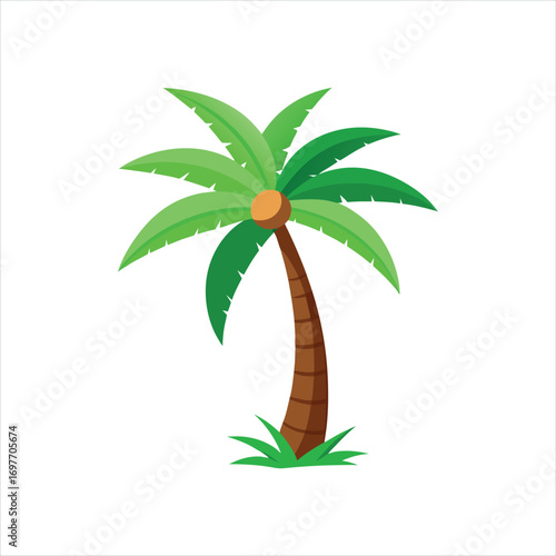 Coconut Palm Tree Silhouette with Green Leaves and Single Coconut