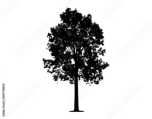 Firefly_ tree silhouette victor design isolated on the white background