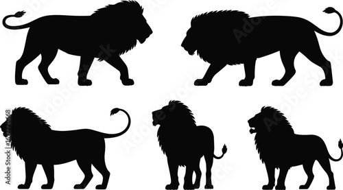 Lion silhouette, majestic wild cat, African wildlife vector, standing roaring lion, black jungle predator, king of jungle design, animal graphic art