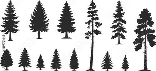 Pine tree silhouettes, fir trees, evergreen forest, black vector icons, nature, coniferous trees, isolated on white, seasonal, landscape design