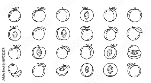 Collection of hand drawn fruit silhouettes in a sketchy style