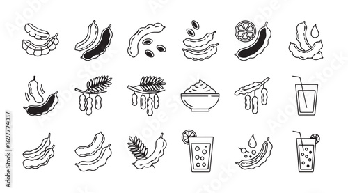 Collection of hand drawn botanical illustrations featuring various plants and beverages silhouette
