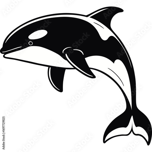 Orca Whale Black and White Line Art Vector Design
