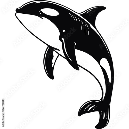 Minimalist Killer Whale Line Art Vector Illustration