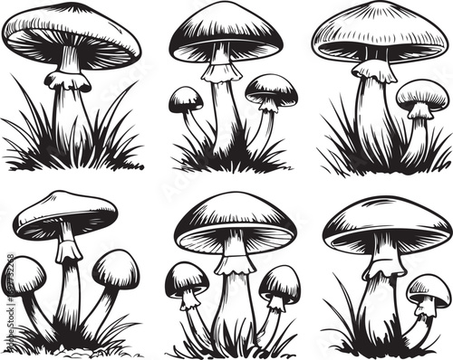 Collection of Mushroom Illustrations with Grass and Foliage on Transparent Background