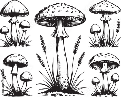 Detailed Mushroom Cluster Illustration with Grass and Foliage on Transparent Background Vector