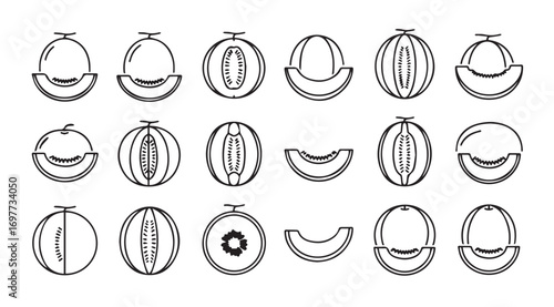 Collection of various melon slices and halves in a distinctive silhouette style