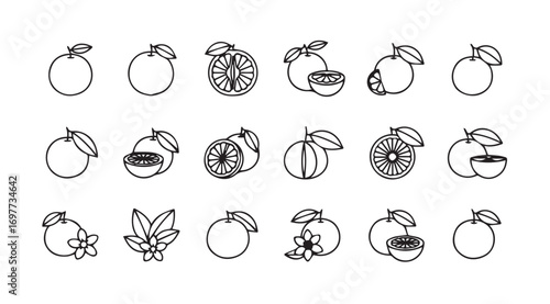 Collection of hand drawn mango fruit and leaf illustrations in silhouette style