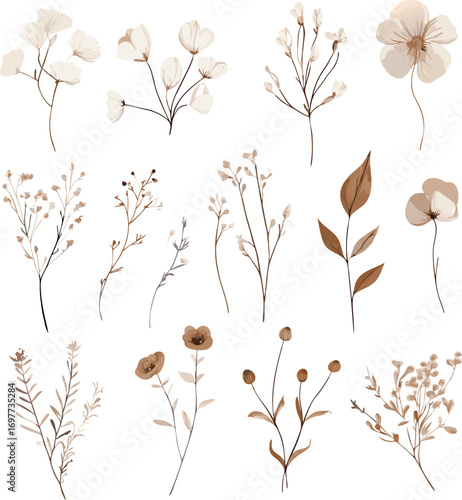 Collection of delicate watercolor botanical illustrations featuring dried flowers and delicate line art elements