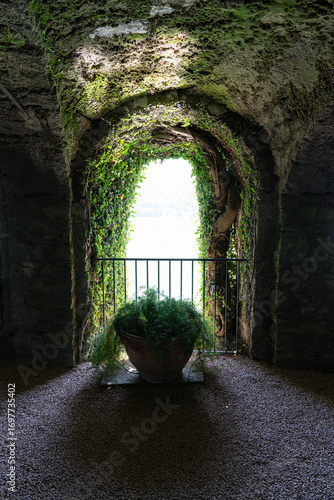 old castle in the forest