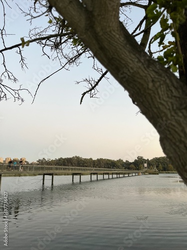 bridge over the river