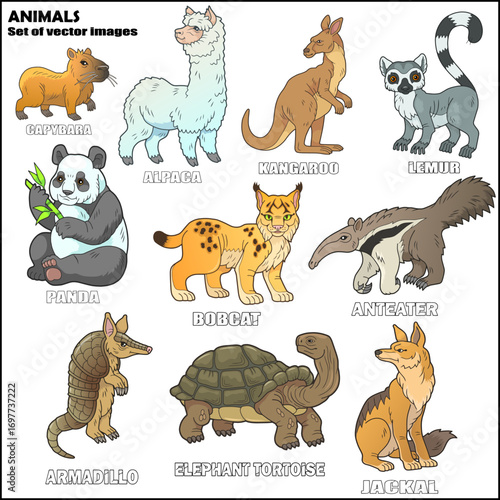 Wild animals, set of images