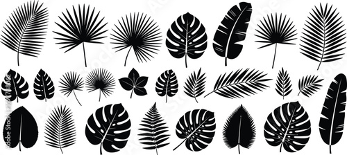 "Tropical leaf silhouettes set with palm, monstera, banana, fern, and various exotic foliage black vector nature botanical collection"