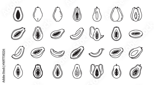 Collection of hand drawn papaya fruit slices and halves silhouette