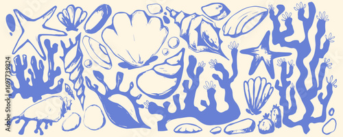 Coastal boho shell illustration with marine elements - blue seashells, starfish, coral and ocean algae on white bg. Hand drawn beach collection for nautical designs or seaside decorative artwork.