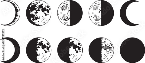 Detailed Lunar Phase Illustrations in Vector Format on a Transparent Backdrop