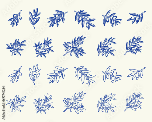 Olive Branch Hand Drawn Doodle Set - Vintage Botanical Illustration. Illustrations of Olive Branches with Leaves and Fruits in Blue Outline