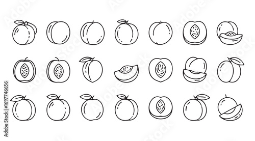 Collection of hand drawn plum and peach fruit illustrations silhouette