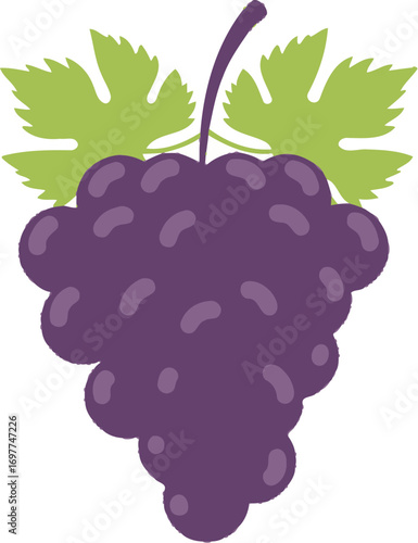Simple Flat Style Grape Bunch with Leaves Fruit Illustration