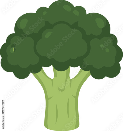 Flat Design Detailed Broccoli Head Healthy Ingredient Simple Style Illustration
