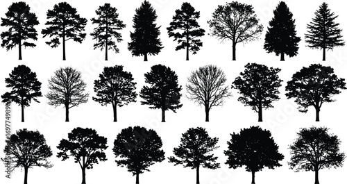 "Collection of diverse tree silhouettes in black, including pine, oak, and deciduous trees, perfect for nature and landscape designs."