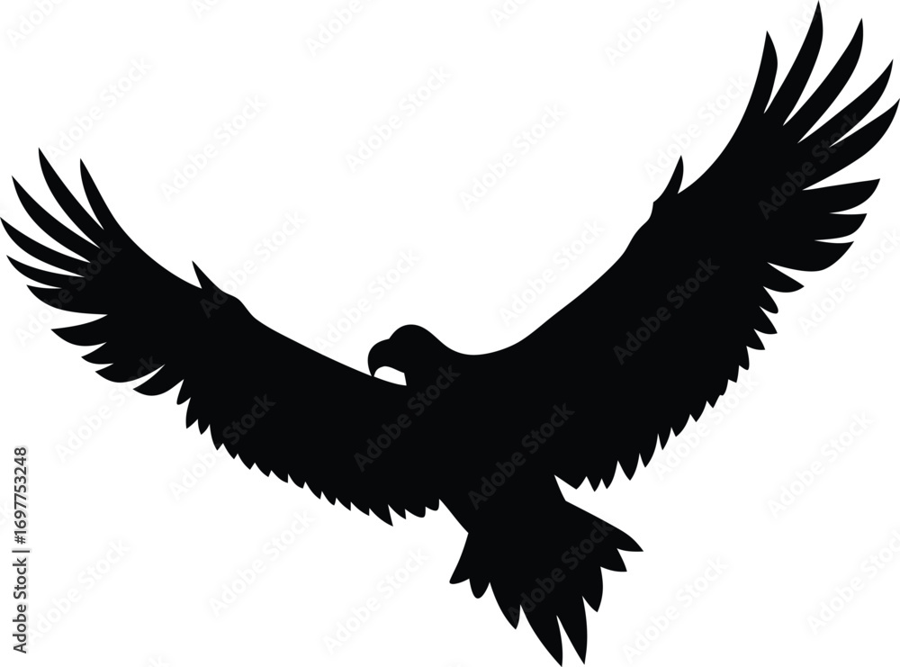 Obraz premium Flying eagle silhouette on transparent background