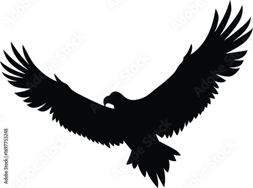 Flying eagle silhouette on transparent background