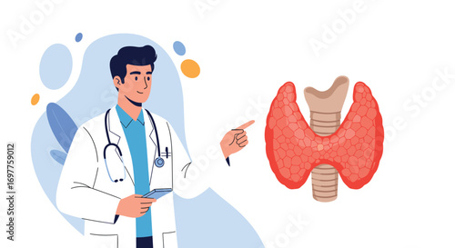 Understanding the thyroid gland its functions symptoms and treatments explained by a doctor